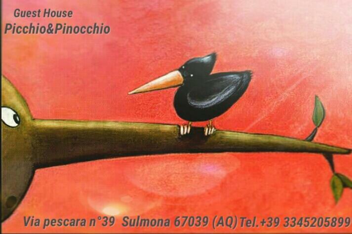 Picchio&Pinocchio Guest House Sulmona Zewnętrze zdjęcie